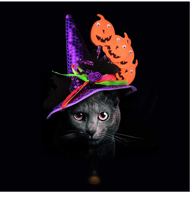 Dogs Cats Halloween Hats